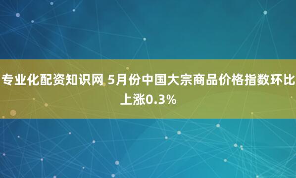 专业化配资知识网 5月份中国大宗商品价格指数环比上涨0.3%